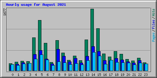 Hourly usage for August 2021