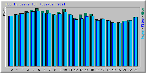 Hourly usage for November 2021