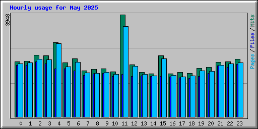 Hourly usage for May 2025