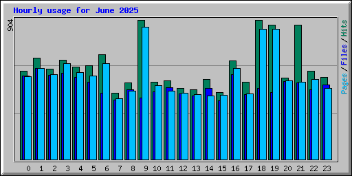 Hourly usage for June 2025