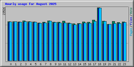 Hourly usage for August 2025