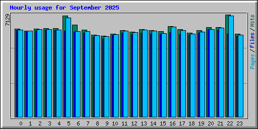 Hourly usage for September 2025