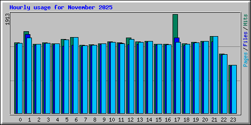 Hourly usage for November 2025