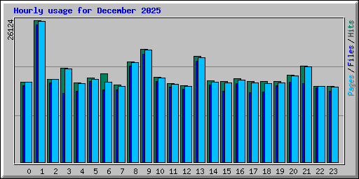 Hourly usage for December 2025