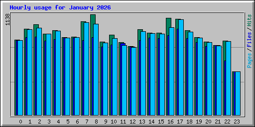 Hourly usage for January 2026