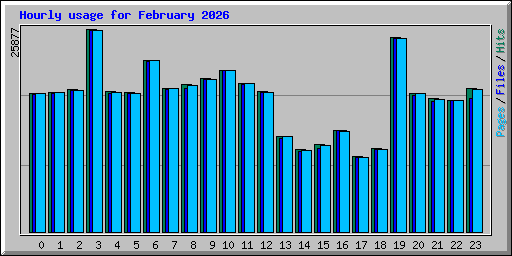 Hourly usage for February 2026