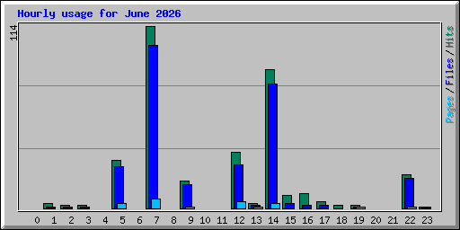 Hourly usage for June 2026